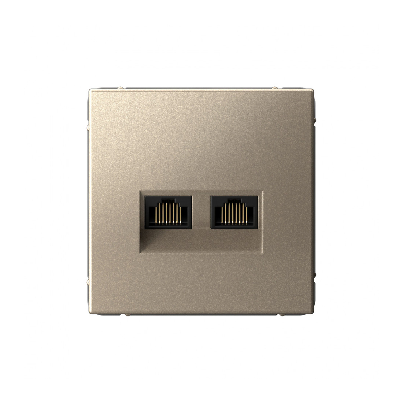 G036 Роз. 2-ная комп. RJ45+RJ45 6A механизм "ARTGALLERY" шампань GAL0588 (1)