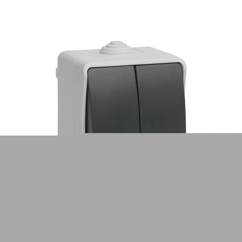 I31 Выкл 2кл о/у серый IP54 ФОРС IEK ВС20-2-0-ФСр (10/100)