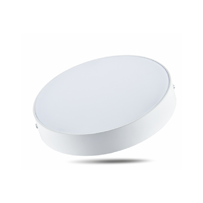 LED ДПО CITY R (белый) 48W 4800Lm d300х40 6500K IP20 MEGALIGHT (10)