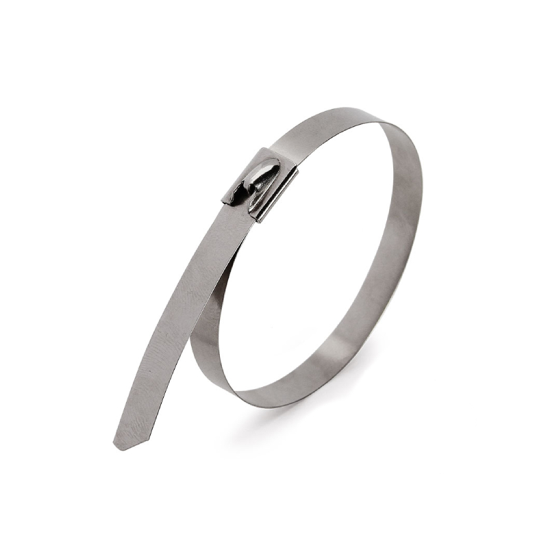 Стяжки стальные СКС (316) 4