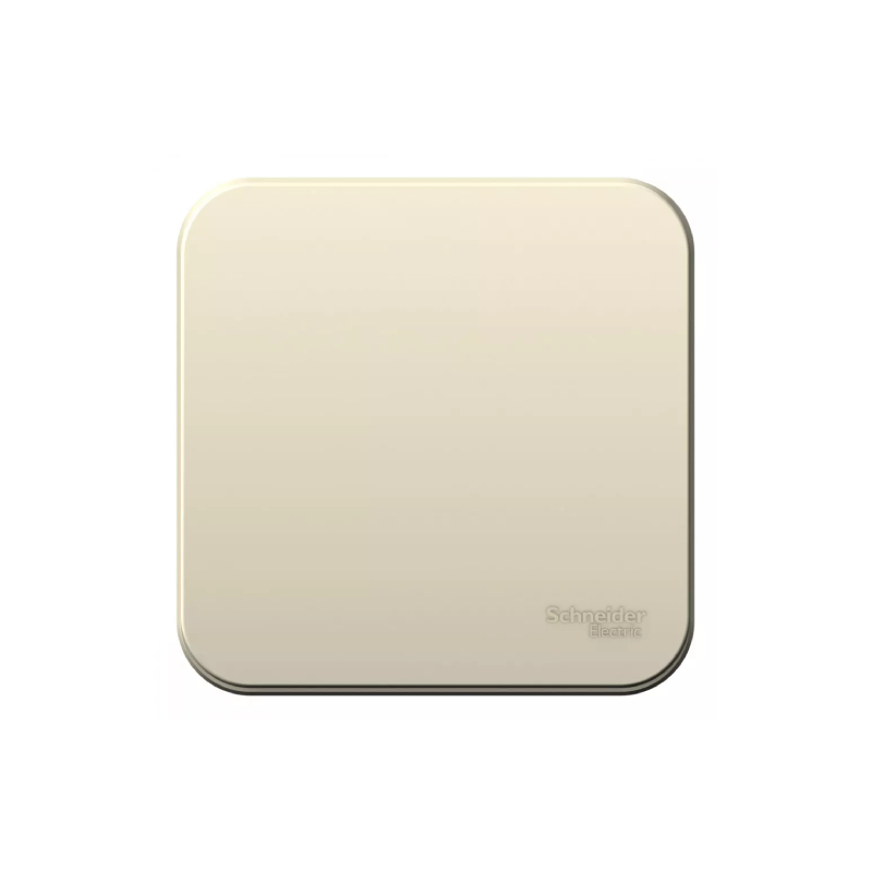 Выкл 1 кл о/у 10А 250B молочный BLANCA